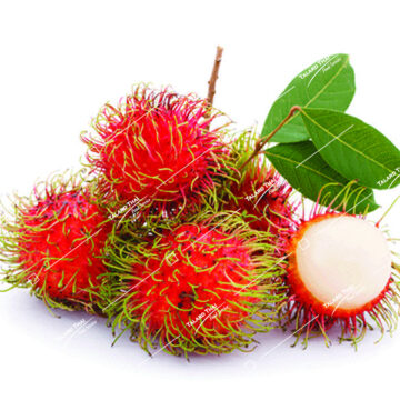 Ngok Rambutan – Exotic, sweet, and juicy tropical fruit.