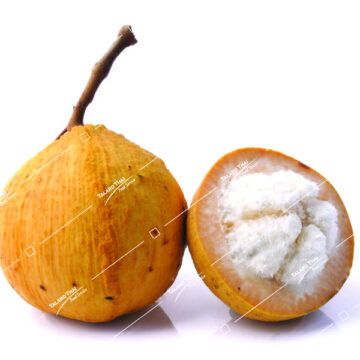 Whole and halved Krathon (Santol) fruit showing its round, fuzzy skin and soft white pulp inside.