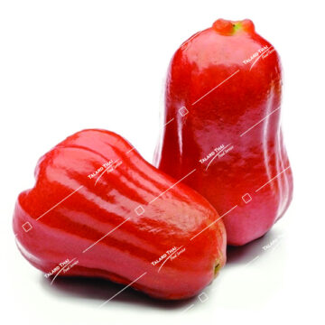 Fresh Chompoo rose apples with shiny pink-red skin and crisp white flesh, displayed whole and halved.