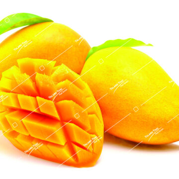 Fresh, ripe Mamuang Suk Narm Dokmai yellow mango showcasing its golden, sweet flesh—ideal for tropical dishes and desserts.