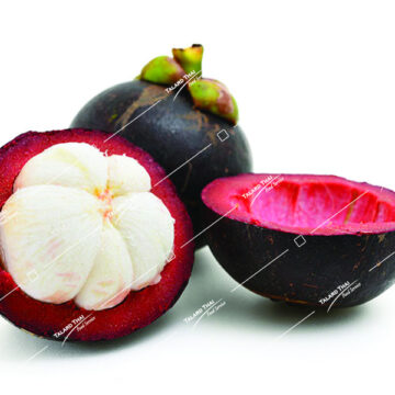 Fresh Mangosteen, known for its sweet and tangy taste, with juicy white segments inside a purple rind.