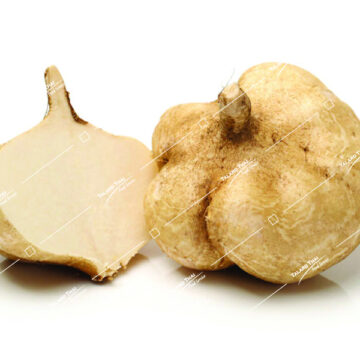 Man Kaew (Yam Bean) root, known for its crispy texture and mild, sweet flavor, perfect for Thai salads and dishes.