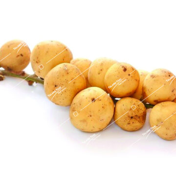 Fresh longong fruit, with its sweet and fragrant segments, offering a tropical and refreshing treat.