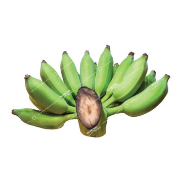 Thai Banana (Nam Wa) – Sweet and firm bananas, perfect for fresh consumption, grilling, or desserts.