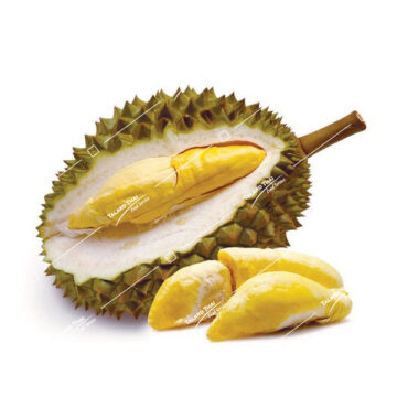 Whole Durian - Fresh durian fruit, known for its rich flavor, ideal for Thai desserts and adventurous culinary experiences.
