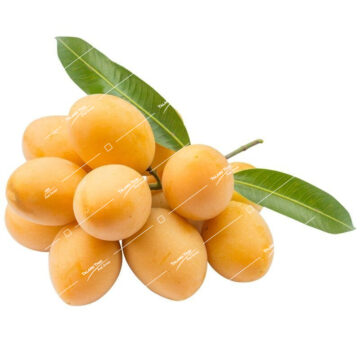 Ma Yong Chit – Thai Marian Plum or Gandaria, sweet and tangy tropical fruit.
