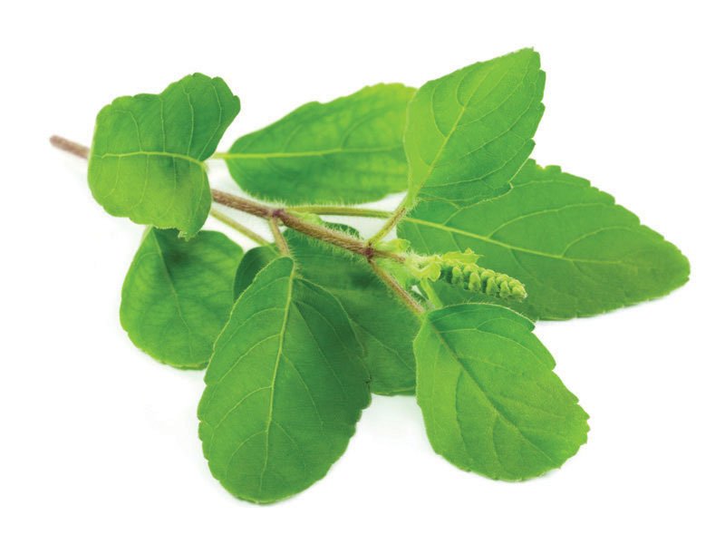 SH004.save_.web_.high_ SH004.save_.web_.high_