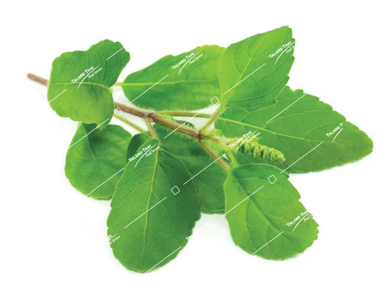 SH004.save_.web_.high_ SH004.save_.web_.high_