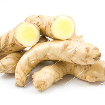Kamin Kow White Turmeric - Fresh Thai turmeric for authentic Thai cooking.