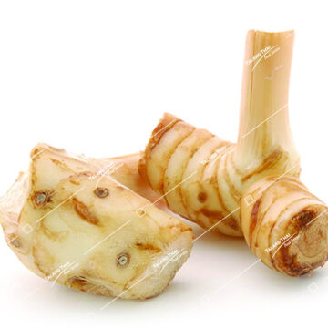 Fresh galangal root (kha) for Thai cooking