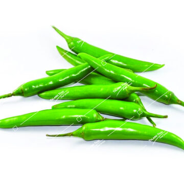 Fresh small green chili (Prik Ki Noo Kio) – spicy and aromatic, ideal for Thai cooking.