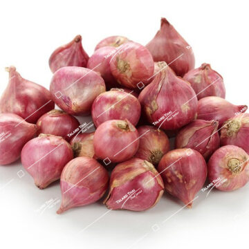 Pile of fresh whole Thai shallots (hom daeng)