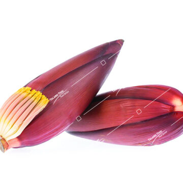 Banana flower, a nutritious and versatile ingredient in Thai cuisine, perfect for salads, curries, and stir-fries.