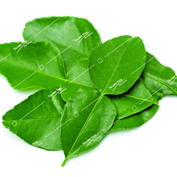 Fresh Kaffir Lime Leaves (Bai Makrut)