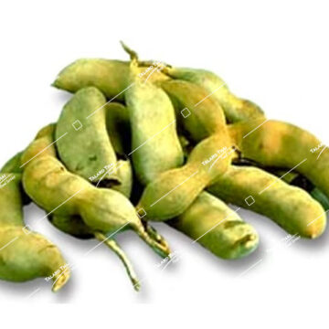 Makam On Young Tamarind – Tangy and flavorful young tamarind, perfect for enhancing your dishes with a zesty kick.