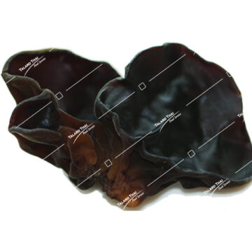 Hed Hoo Noo Wood Ear Fungi – A crunchy and versatile mushroom, perfect for Thai soups, salads, and stir-fries.