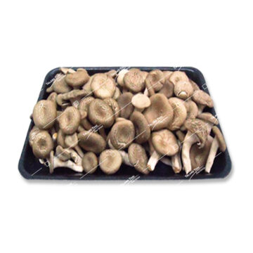 Hed Khon Khao – A variety of edible mushrooms, perfect for enhancing the flavor of Thai dishes, soups, and stir-fries.
