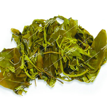 Kee Lek Tom Cassia Boiled - Thai ingredient for authentic Thai cooking.