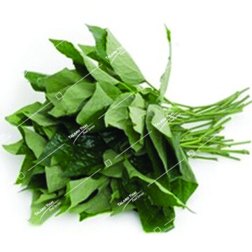 Bunch of Fresh Piper Lolot Leaves (Wild Betel / Bai Cha Phu)