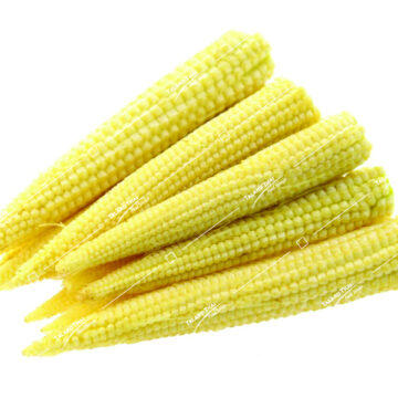Kow Port On Baby Corn – Fresh and crunchy baby corn perfect for cooking, offering a natural sweetness and texture to enhance your meals.