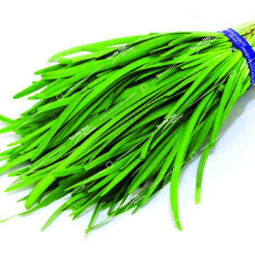 Fresh bunch of Chinese Chives (Gui Chai)