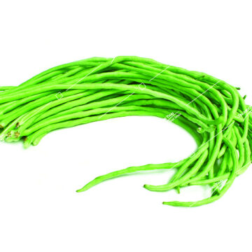 Tua Fak Yaw Long Bean – Fresh, long green beans, offering a crisp and crunchy texture, ideal for Thai stir-fries and other flavorful dishes.