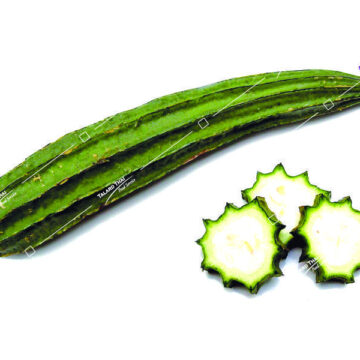 Pack of Fresh Angled Luffa (Chinese Okra)