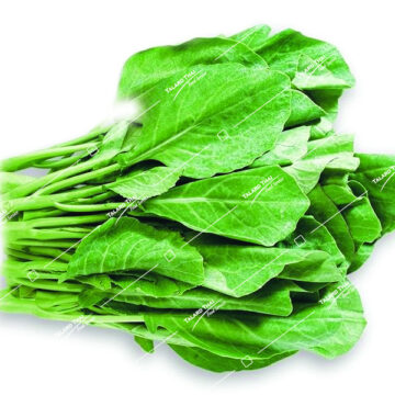 Fresh Thai broccoli (Pak Ka Na) – a nutritious and flavorful vegetable for Thai cooking.