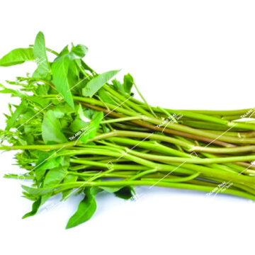Fresh Thai morning glory (Pak Boon Thai) – perfect for stir-fries and Thai dishes.