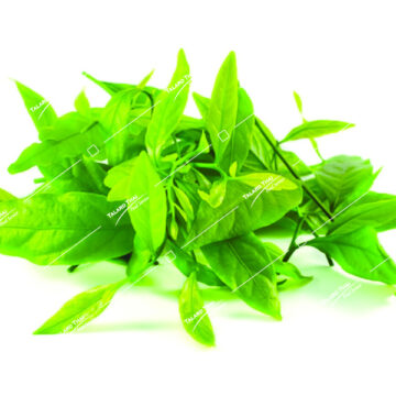 Pak Wan Barn – Fresh and nutritious Thai vegetable, perfect for stir-fries and salads. Adds a crunchy texture and fresh taste to your meals.