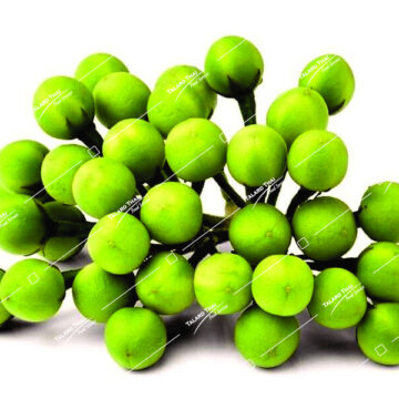 Cluster of fresh green Pea Aubergines (Makhuea Phuang)