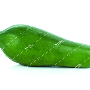 A whole fresh green papaya (Malakor Dip) for making Som Tum