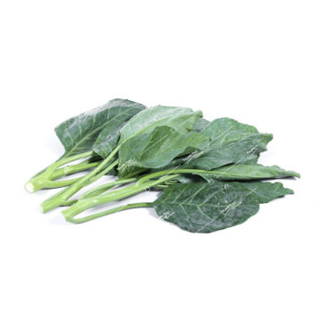 Yord Kana Young Kale – Fresh and vibrant leafy greens, packed with nutrients, ideal for Thai cooking and promoting health with every bite.
