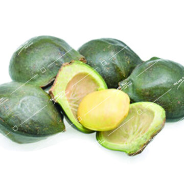 Look Niang Jiringa - Fresh Thai ingredient for cooking