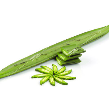 Linfah Pod (India Trumpet) – A flavorful and aromatic pod, ideal for enhancing the taste and texture of Thai and Southeast Asian cuisine.