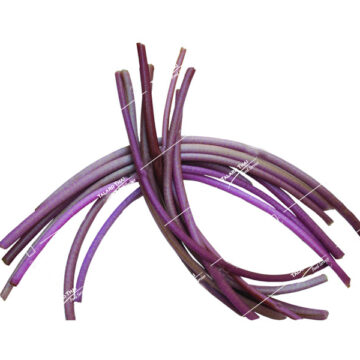 Fresh cassava leaves (Bai Man Sumpahlang) for cooking.