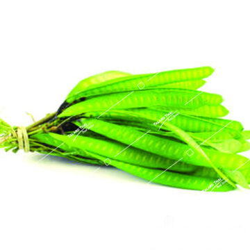 Fak Kra Tin On Young Kratin Pod - Fresh Thai ingredient for authentic Thai dishes.