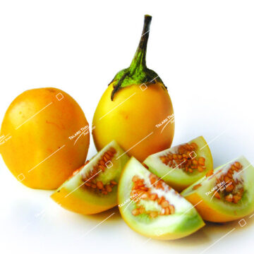 Maker Leung Yellow Eggplant – premium Thai vegetable for authentic dishes.