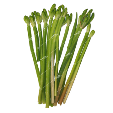 Fresh yellow velvetleaf (Pak Kan Jong) – nutritious Thai vegetable, ideal for soups and stir-fries.