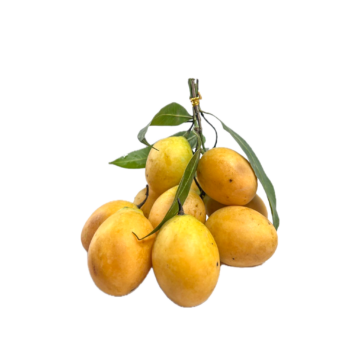 MARIAN PLUM (MA PRANG)