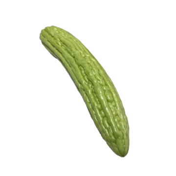 Whole Fresh Bitter Melon (Mara Jean / Chinese Bitter Gourd), 400-450g